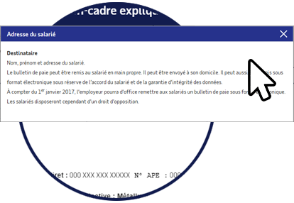 Bulletin Paie Explique Adp France