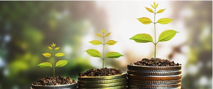 Environnement, Social, Gouvernance